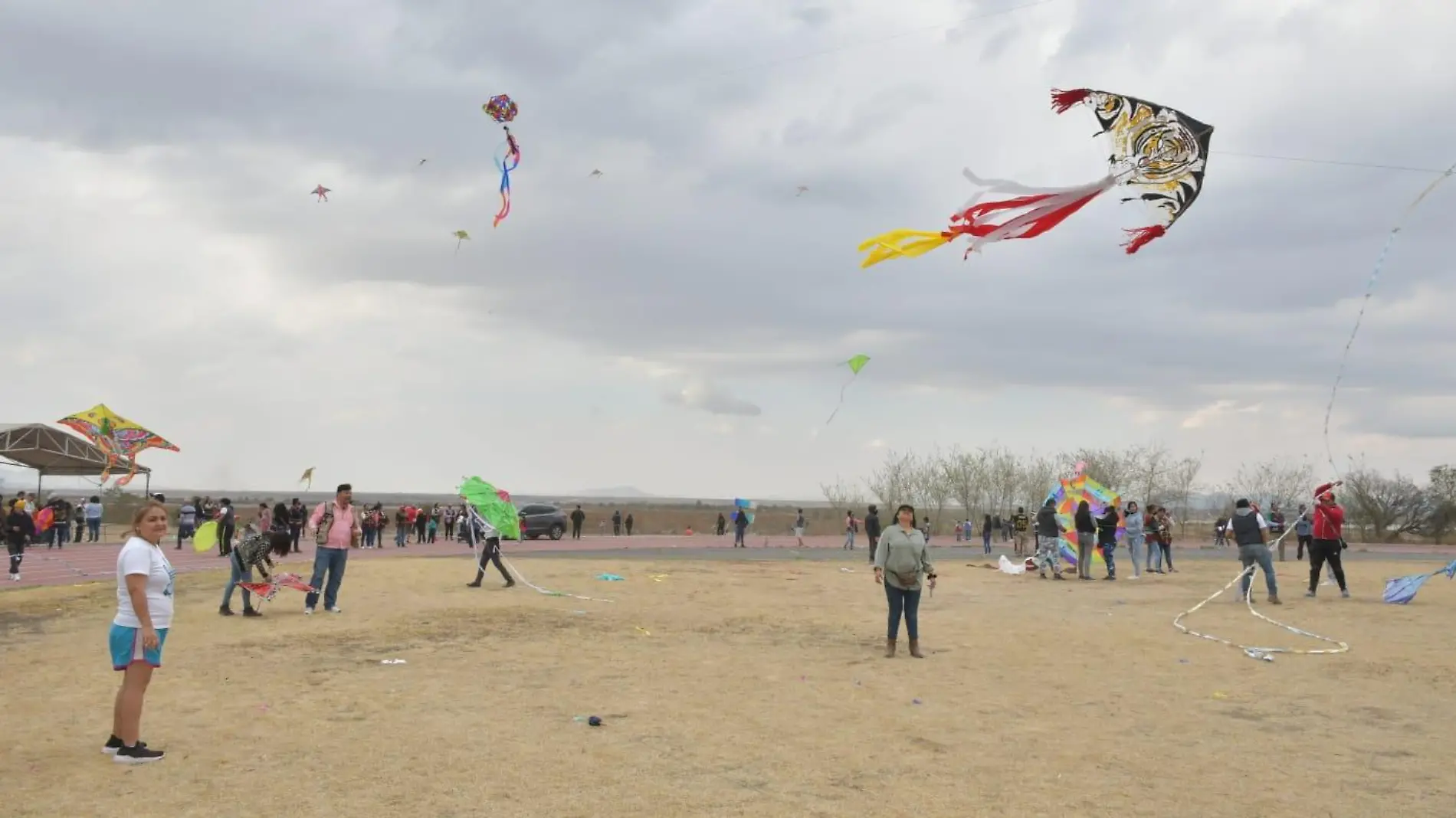 Surca cielos de Neza el Festival del Papalote 